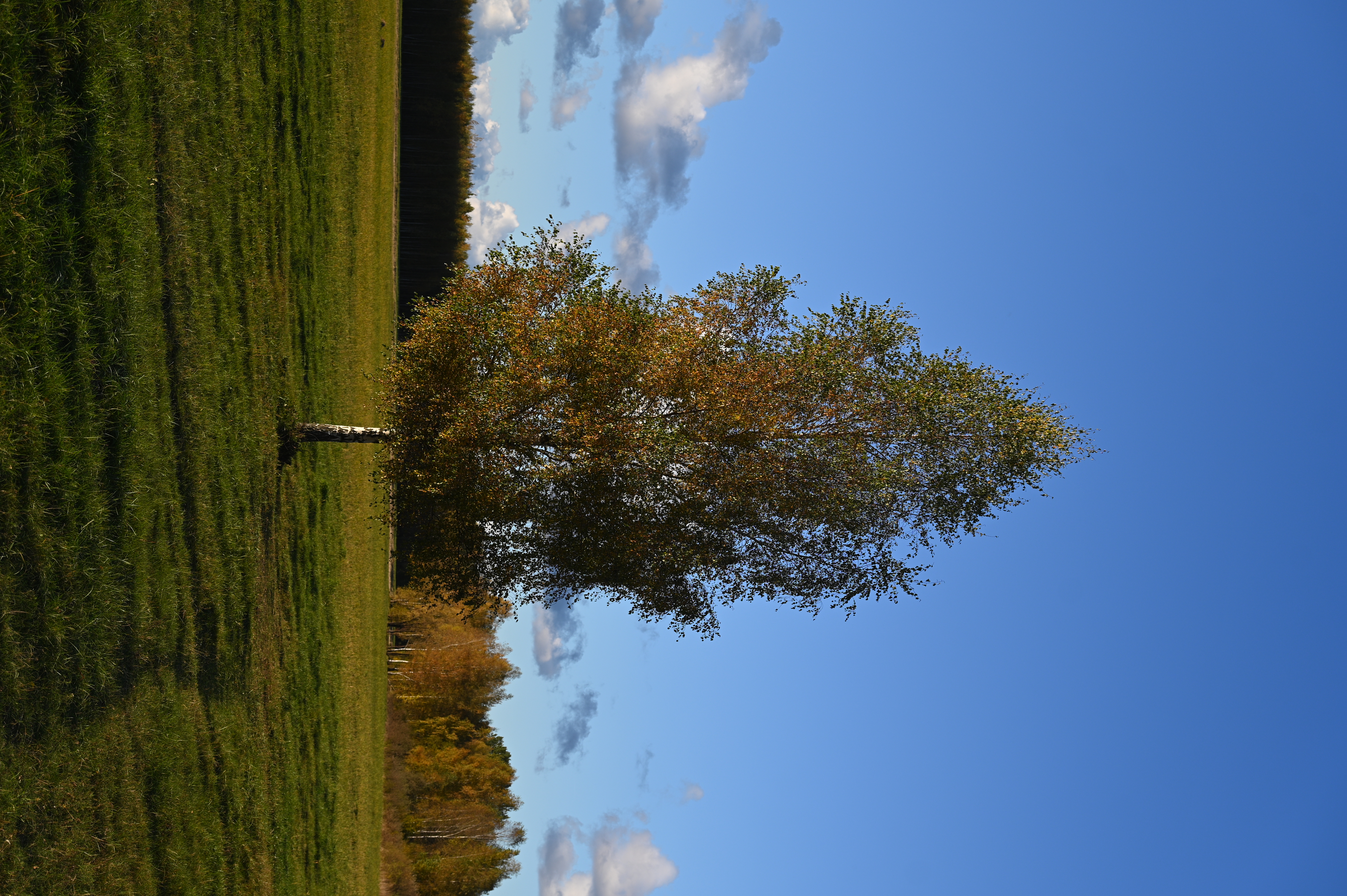 2025/10/18 - walk/DSC_0151.JPG